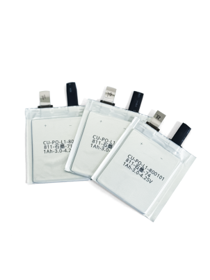 Unfilled Lithium Battery Pouch Cells (Dry Cells)