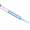 Glass Dropper, Rubber Tipped Dropper