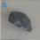 Black Phosphorus crystal(≥99.5%)