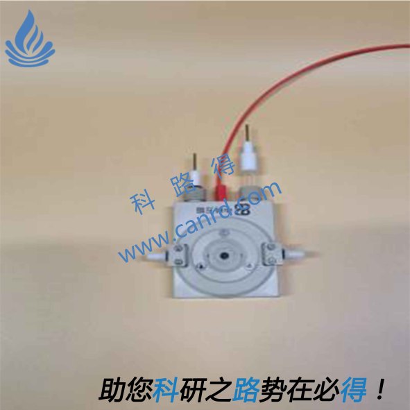 In Situ Raman Electrocatalysis Testing Cell